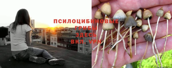 а пвп мука Алексеевка