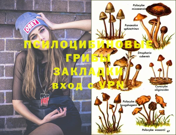 ГАЛЛЮЦИНОГЕННЫЕ ГРИБЫ Алзамай