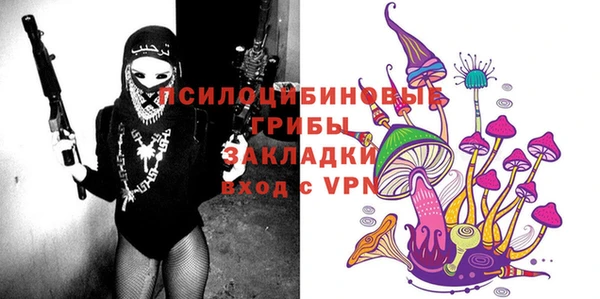 ГАЛЛЮЦИНОГЕННЫЕ ГРИБЫ Алзамай