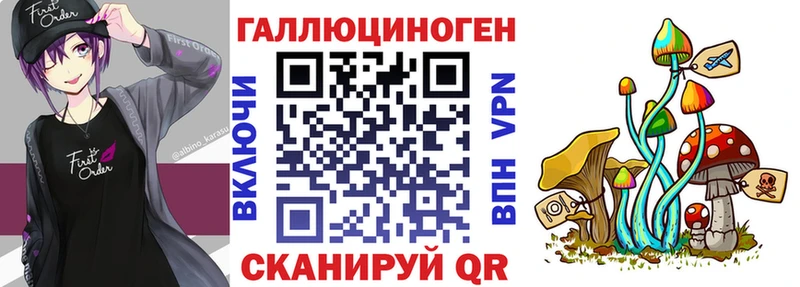 сколько стоит  Грязовец  Псилоцибиновые грибы мицелий 